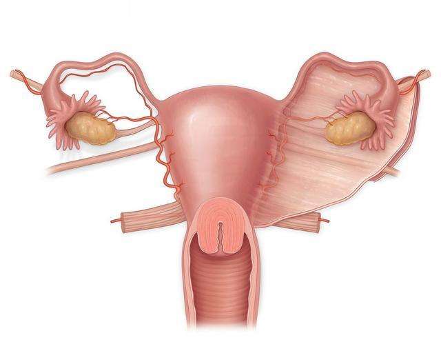 引起宁波女性宫颈肥大的原因有哪些？